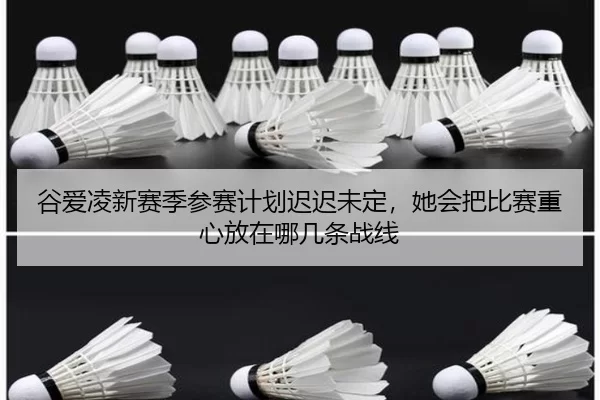 gu-ai-ling-xin-sai-ji-can-sai-ji-hua-chi-chi-wei-ding-ta-hui-ba-bi-sai-zhong-xin-fang-zai-na-ji-tiao-zhan-xian-2-612.jpg